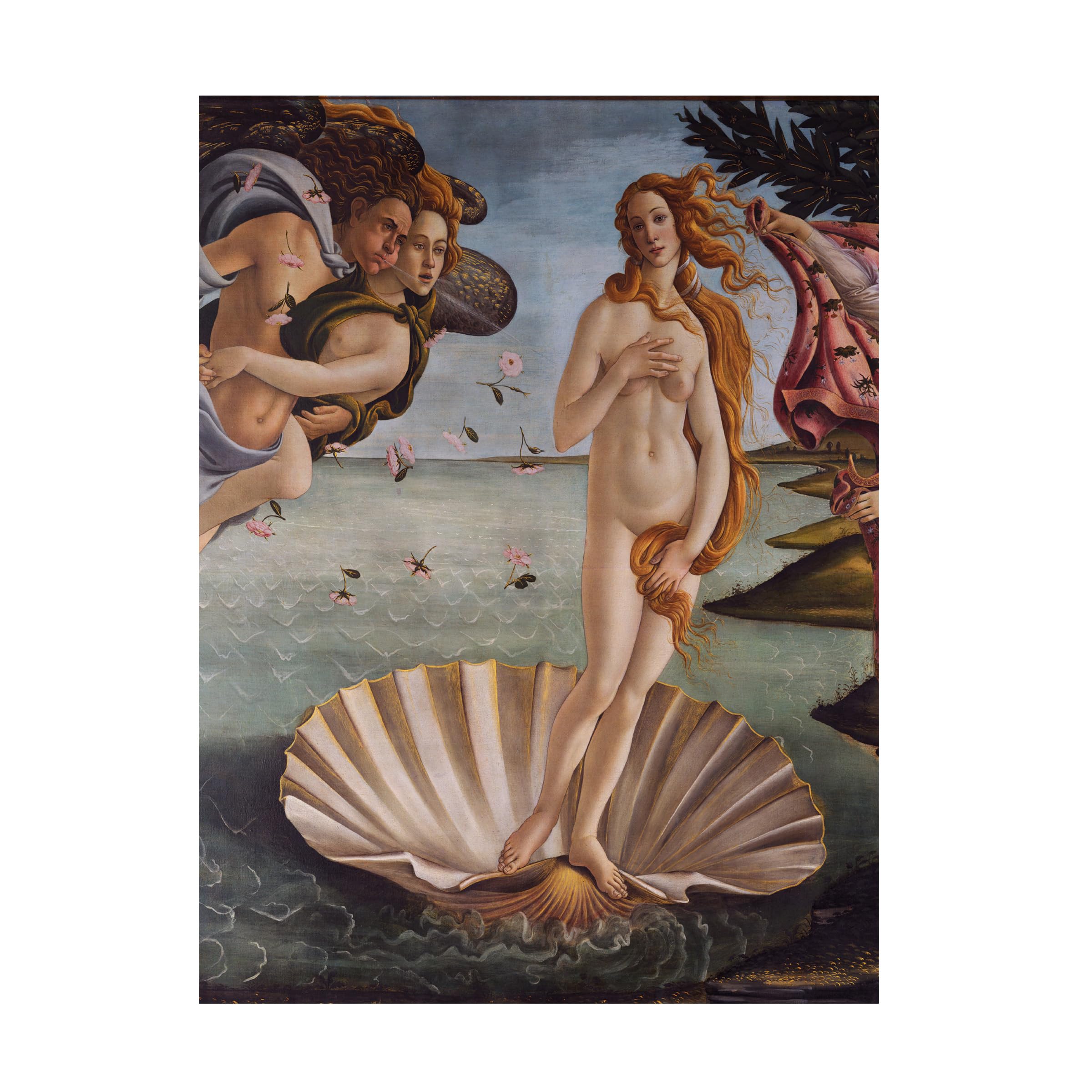 Amazon.co.jp: Trademark Fine Art Birth of Venus 1484 アートワーク