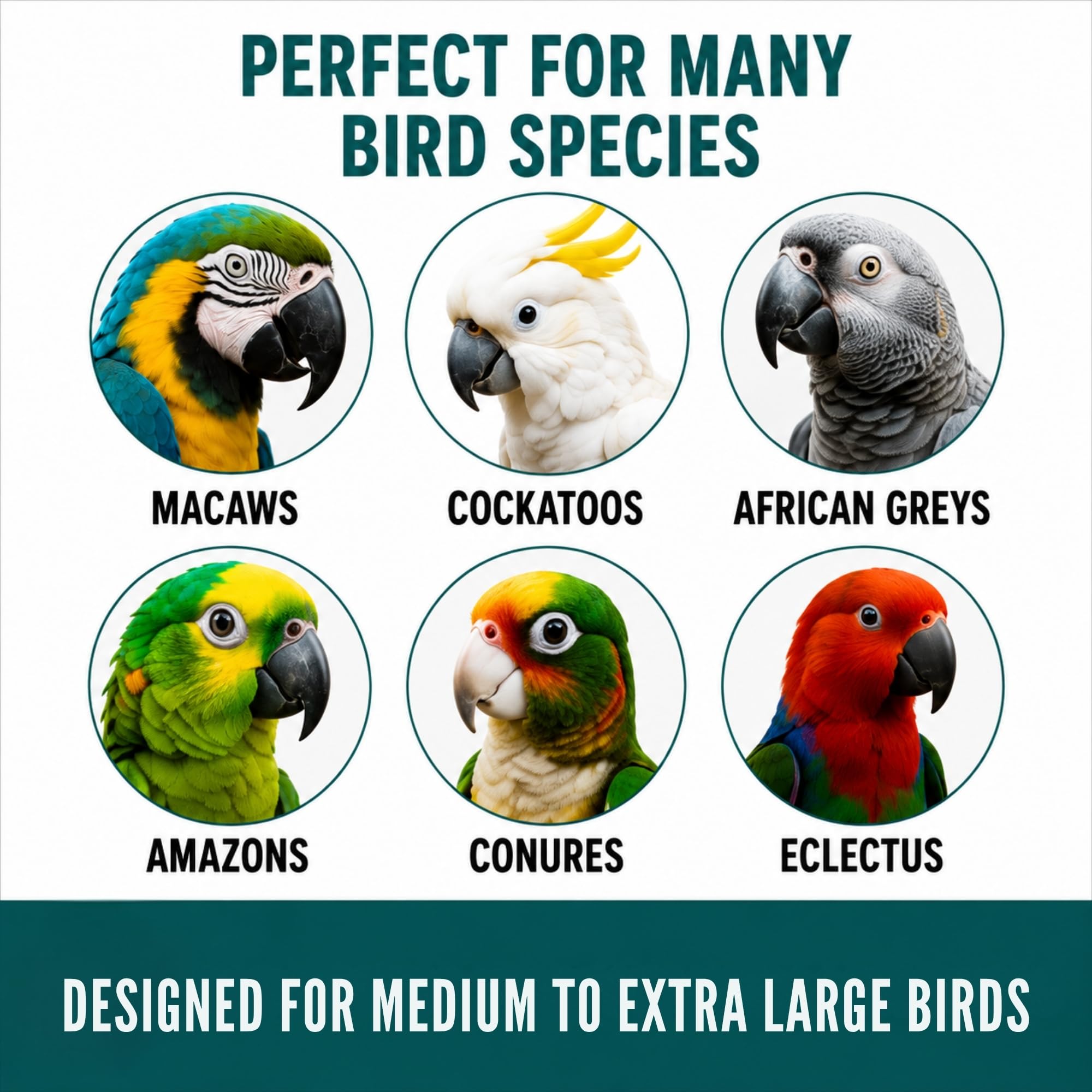 Goodie Gadget Futtersuche Super Spaß Engagement Spielzeug Gehirn Mind Toys African Grey Kakadu Amazon Catalina Aras Conures Medium Large Extra Large Birds