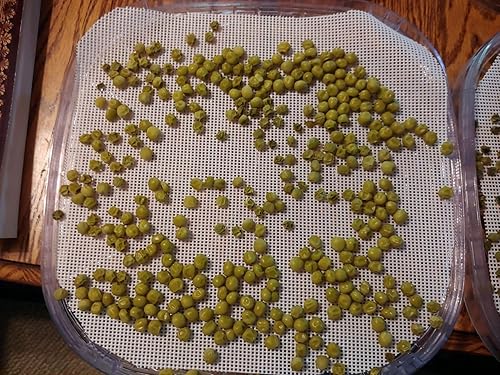 Miniatura 5 de 8 hojas deshidratadoras de silicona, alfombrillas deshidratadoras antiadherentes de primera calidad, malla para secadora de frutas para