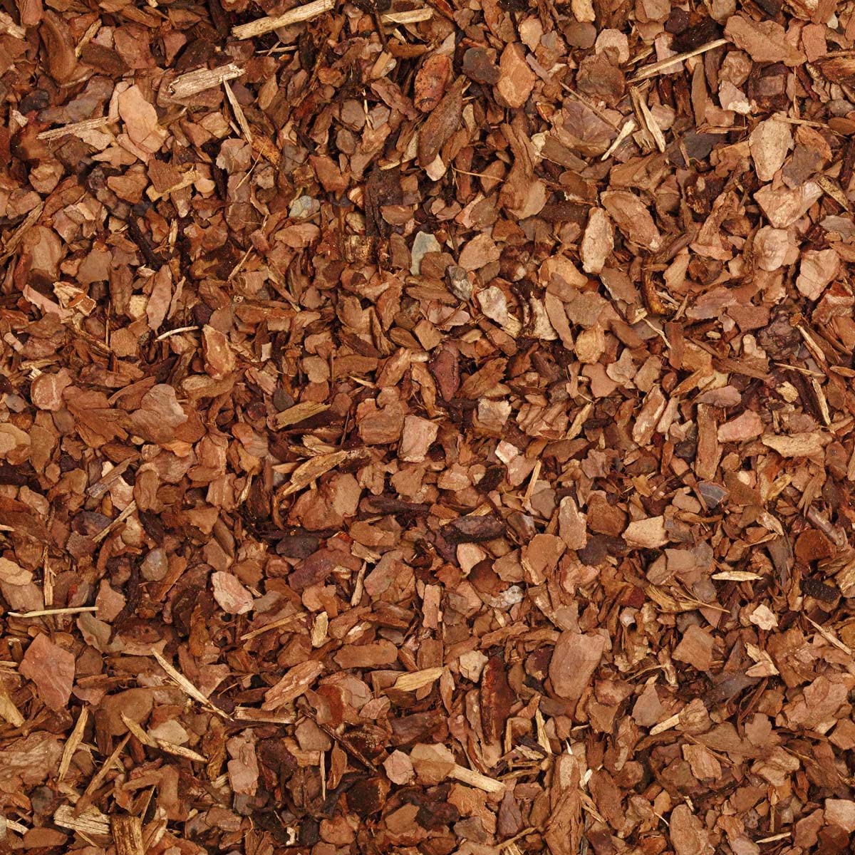 Essex Reptile Fine Grade Orchid Bark - 5 Litre - Reptile Bark Substrate