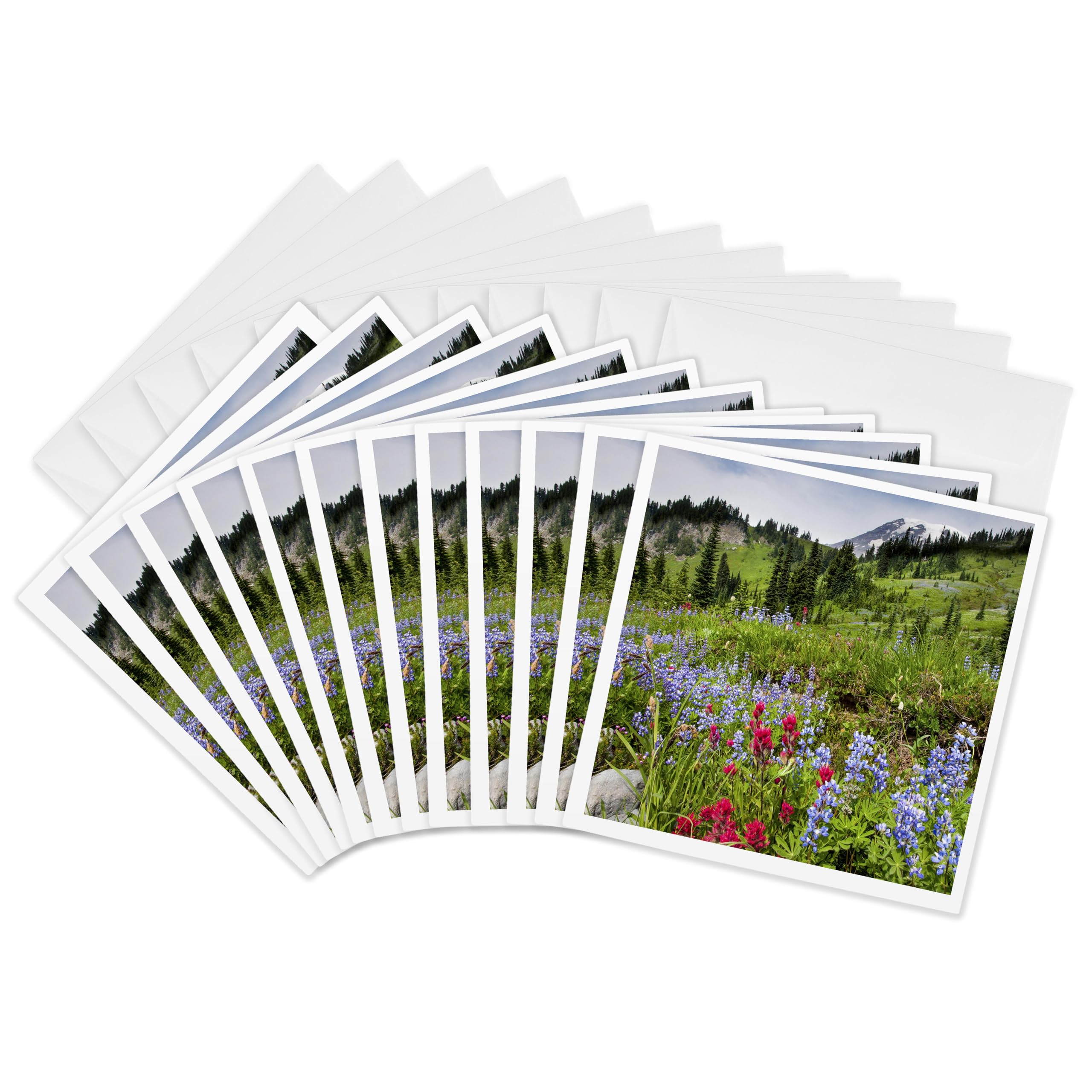 3dRose gc_148810_2 6 x 6-Inch"Wildflower, Mt Rainier National Park, Washington, USA - Us48 Tno0028 - Tom Norring" Greeting Card (Set of 12)