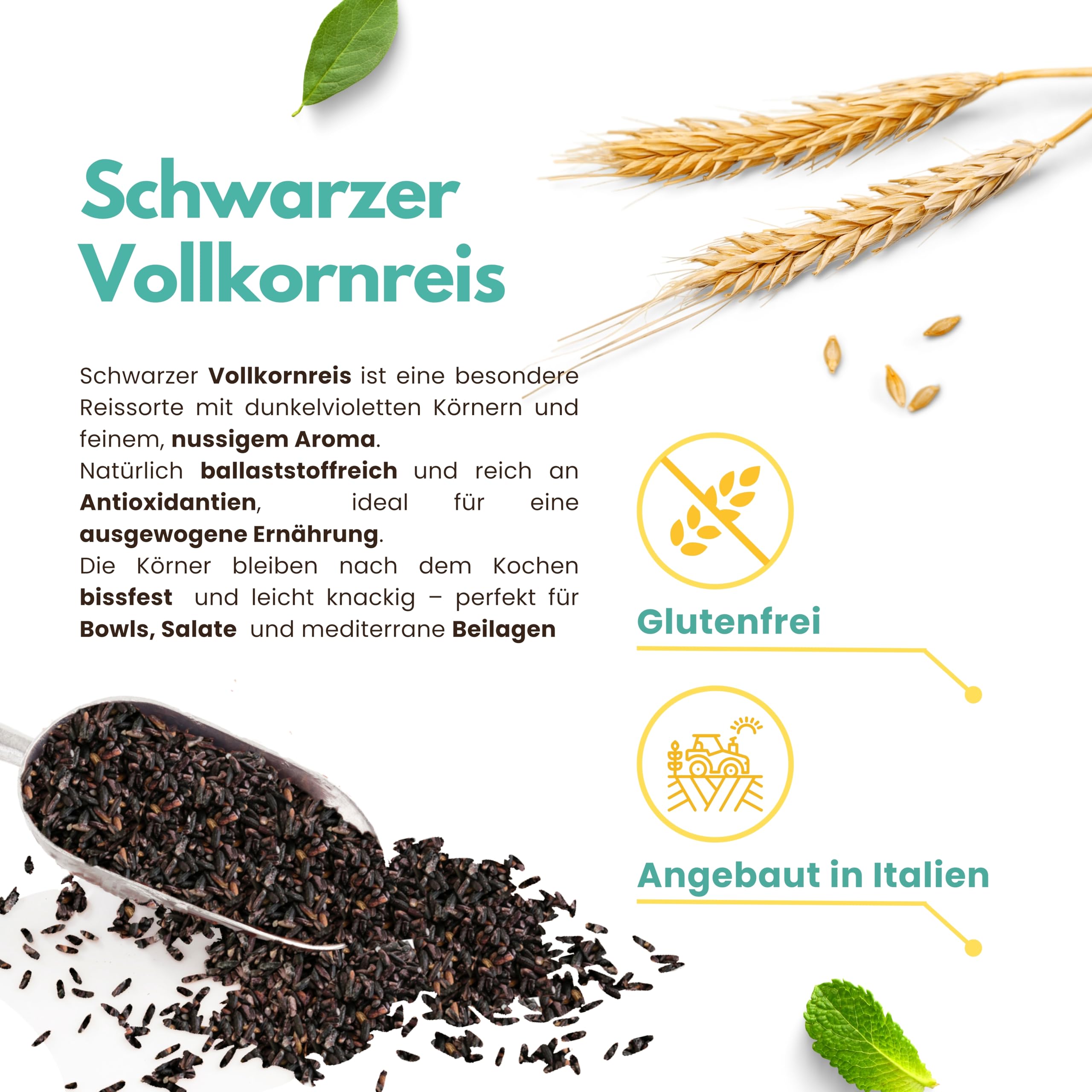 Schwarzer Vollkornreis 6 kg (6 x 1 kg, Venere-Typ) aus Italien | 6 x 1 kg schwarzer Vollkornreis aus Italien (Venere-Typ), ballaststoffreich, glutenfrei, ideal für Bowls und Meal Prep