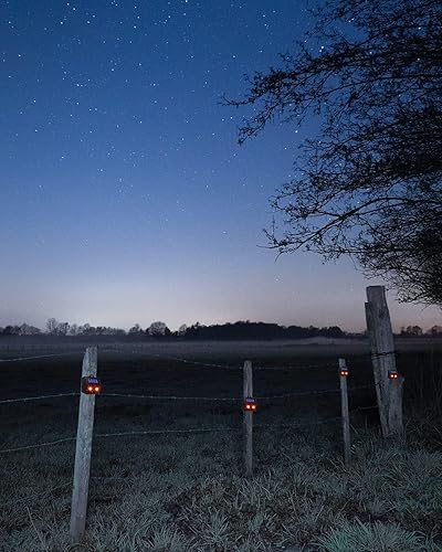Miniatura 6 de Repelente solar nocturno de animales, paquete de 4 dispositivos disuasorios de animales con luz LED roja, repelente impermeable para depredadores al
