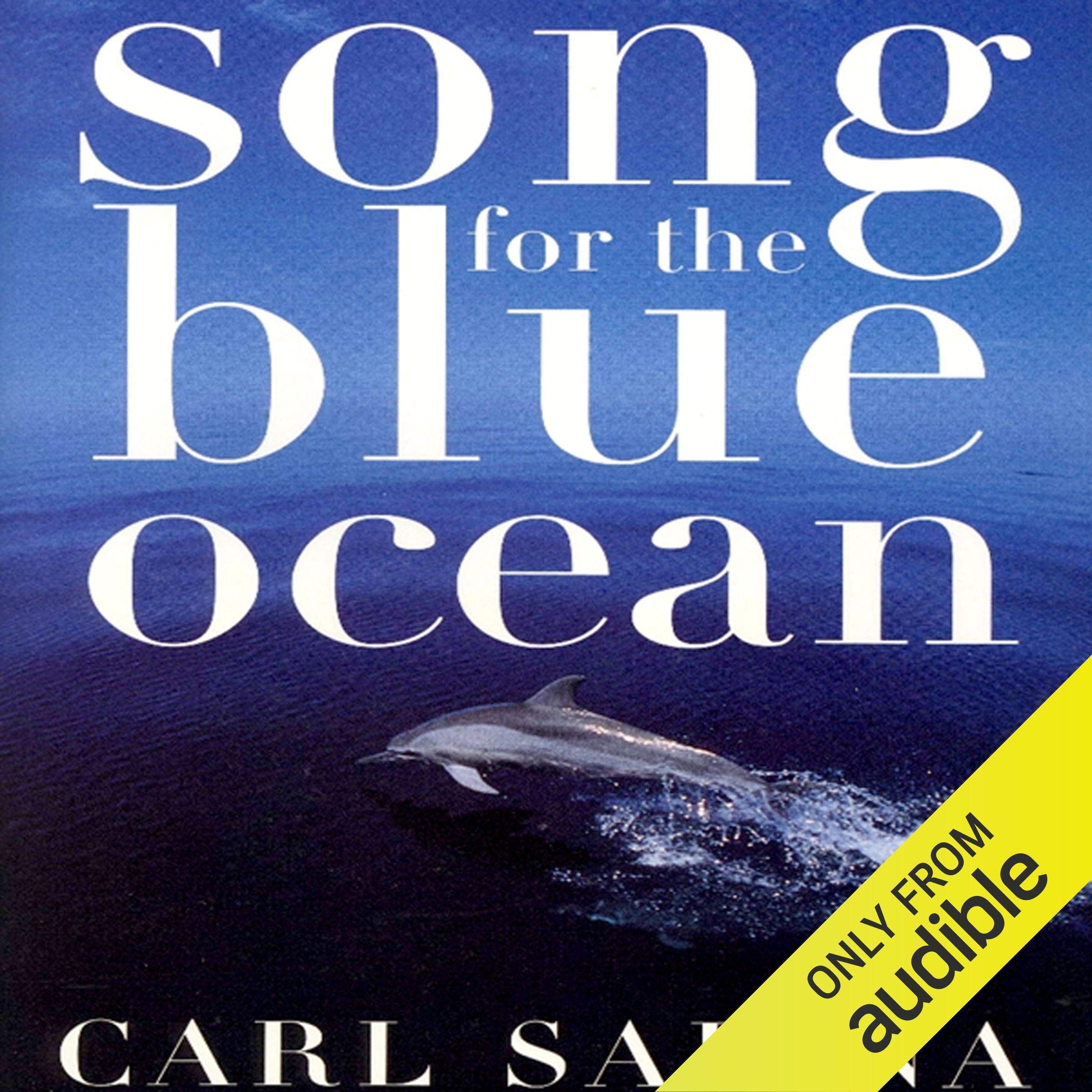 Cover art for Song for the Blue Ocean
