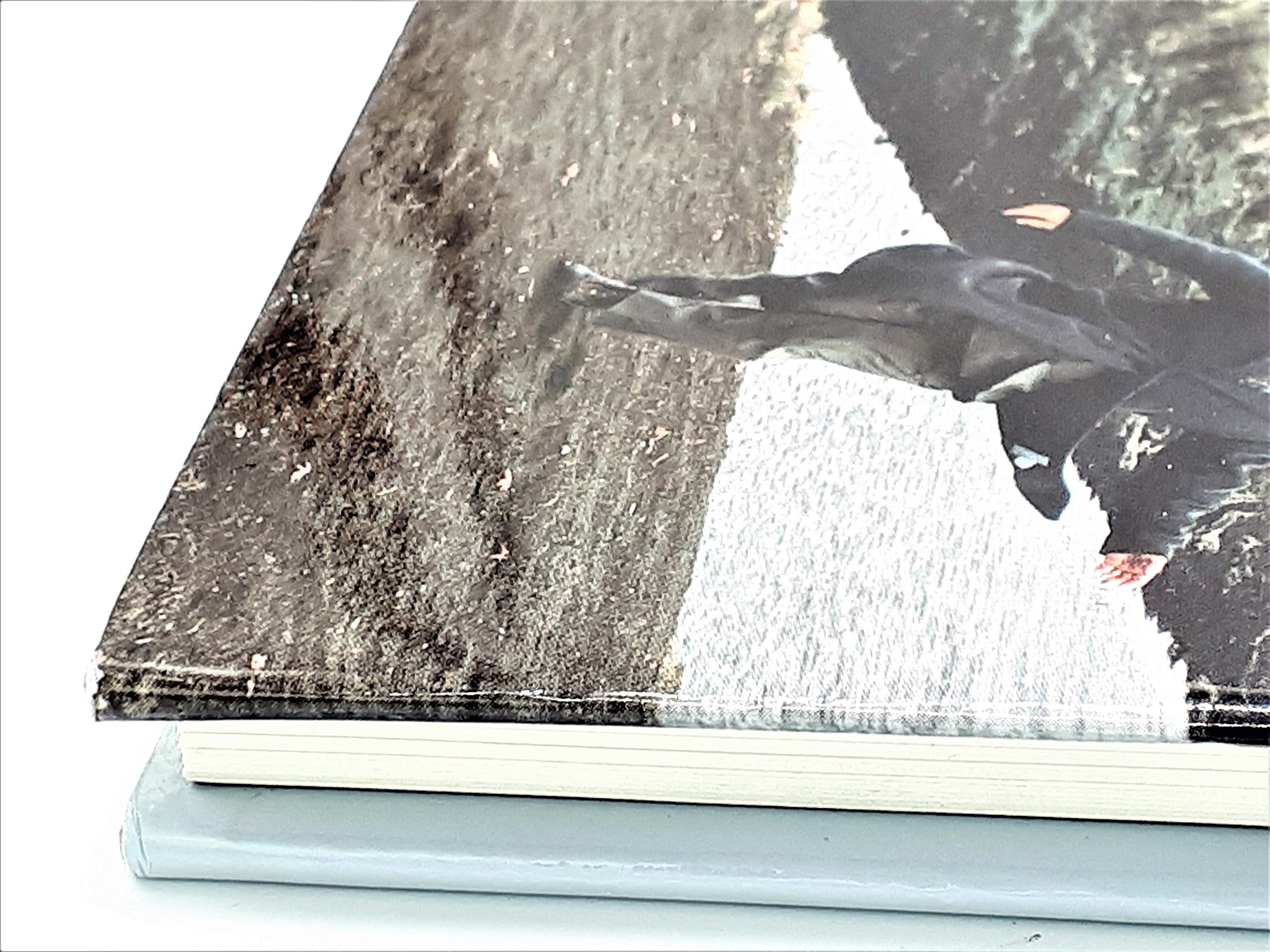 Jeff Wall Photographs 1978-2004 /anglais