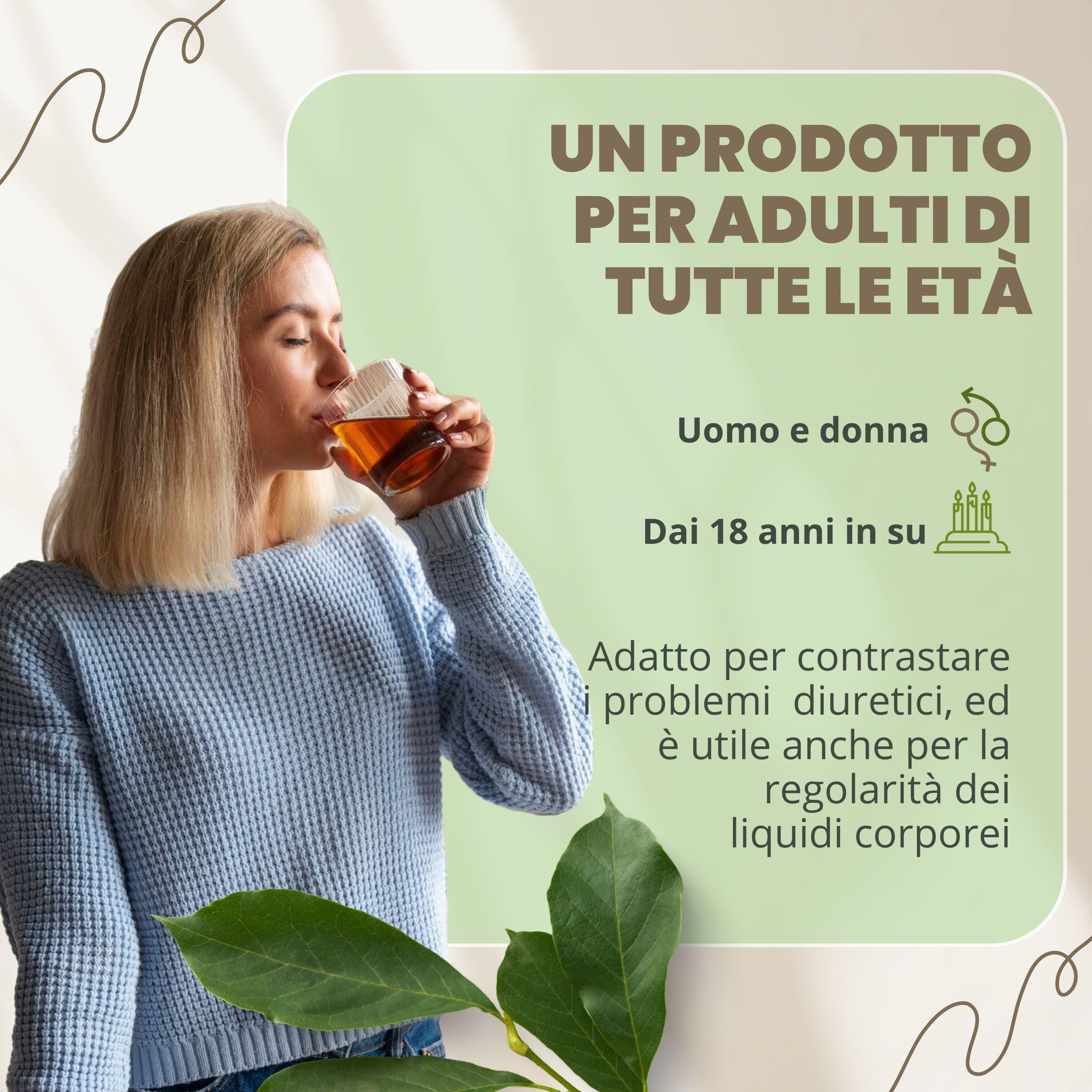 PATRIZIO BRESEGHELLO - Sommità di Equiseto per Depurazione del Corpo 1 kg - Tisana Drenante e Diuretica - Equiseto Naturale Senza Aromi Aggiunti