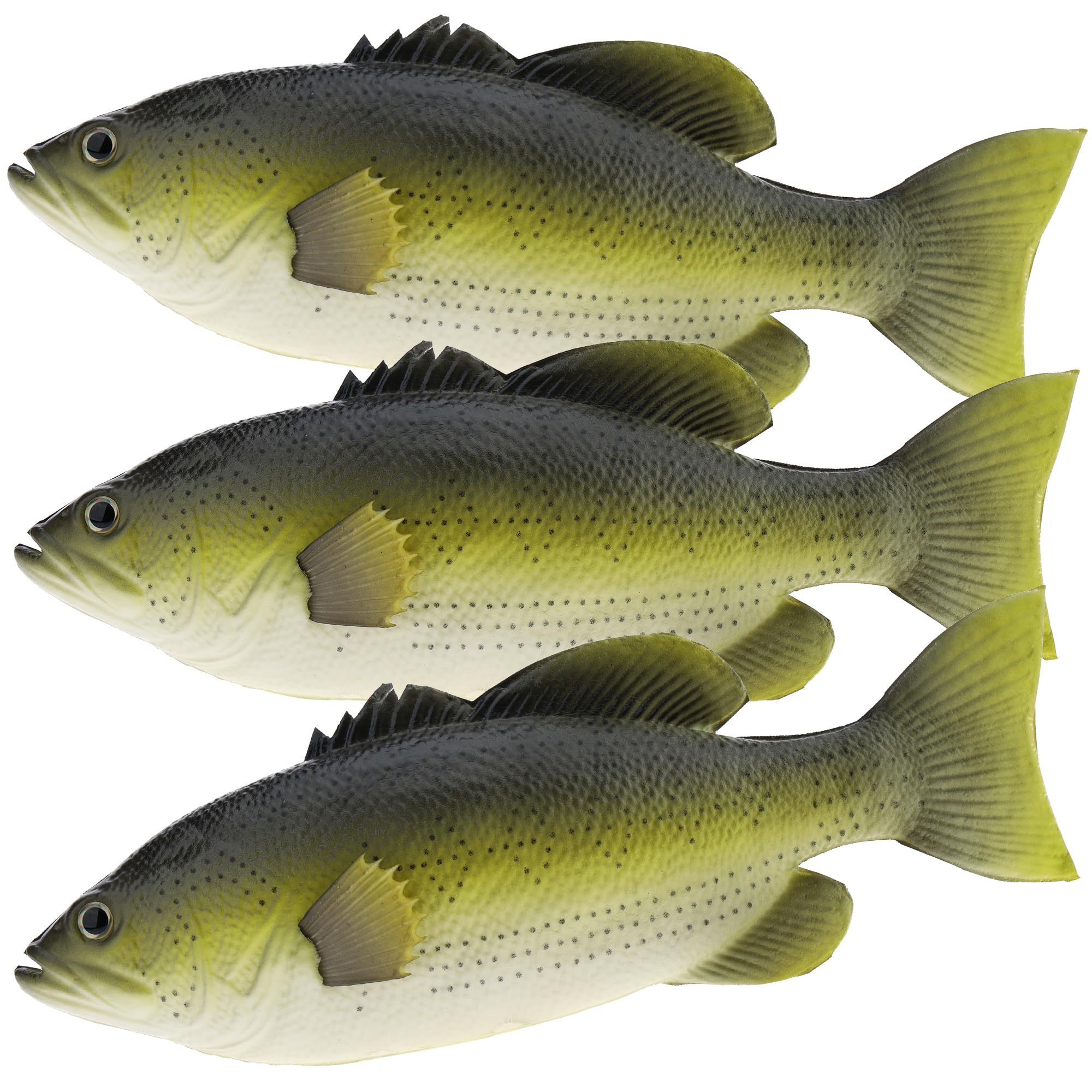 ◇Fish Market◇２２×２０×１５◇ ◇ Amazon.com: Gresorth 11.4 inch Incredible Trout Decoration