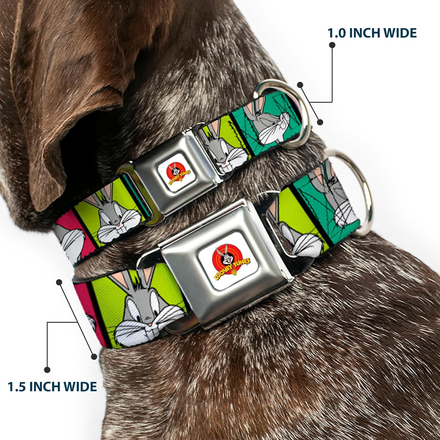 Buckle-Down Seatbelt Buckle Dog Collar - Bugs Bunny Expression Blocks Multi Color - 1.5" Wide - Fits 18-32" Neck - Large