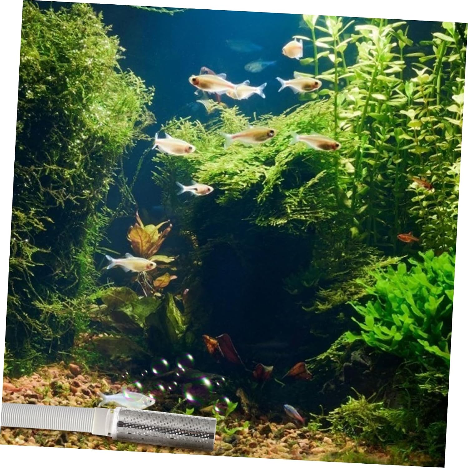 1pc Portable Fish Tank Mesh Cover Strainer Water Inlet Guard for Aquarium Filtration Prevents Debris Inhalation Safe for Young Fish and Shrimp