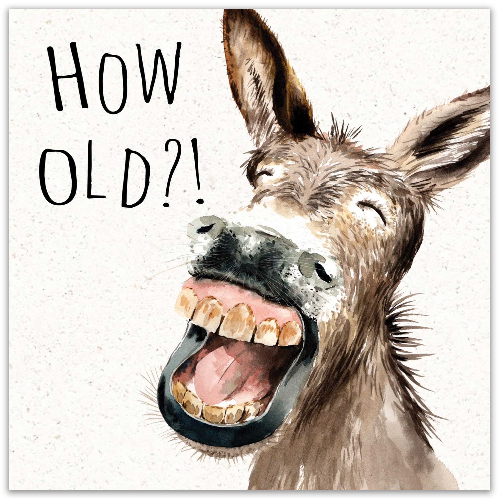 Biglietto D'Auguri Divertente Twizler Con Gorilla Che Dice "Now What Did I Come Up Here For Again?"