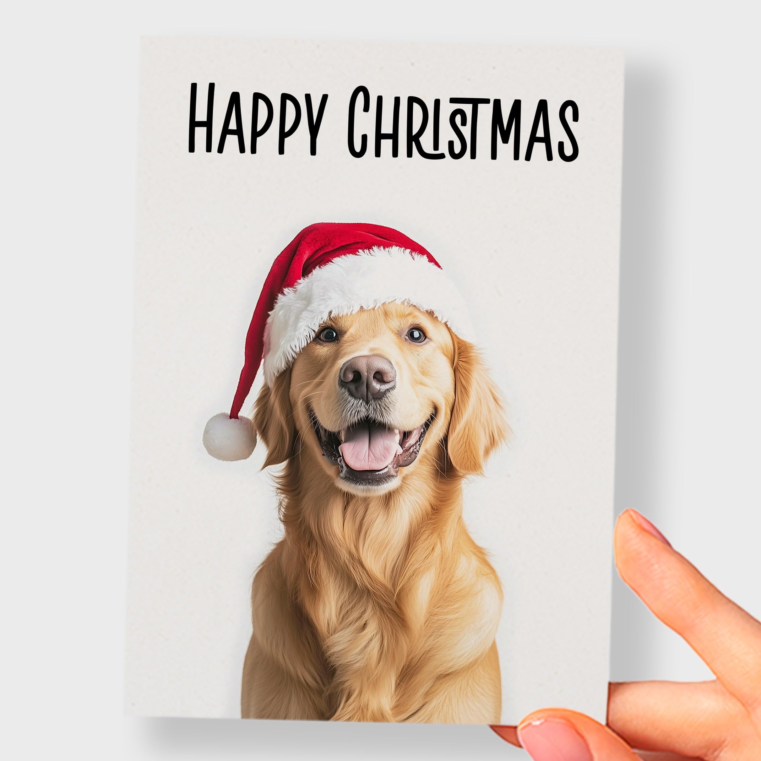 View 3