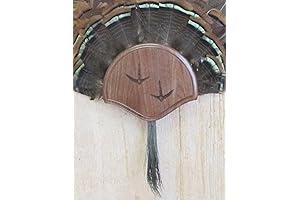 Taxidermists Woodshop The Black Walnut Carved Turkey Mounting Kit