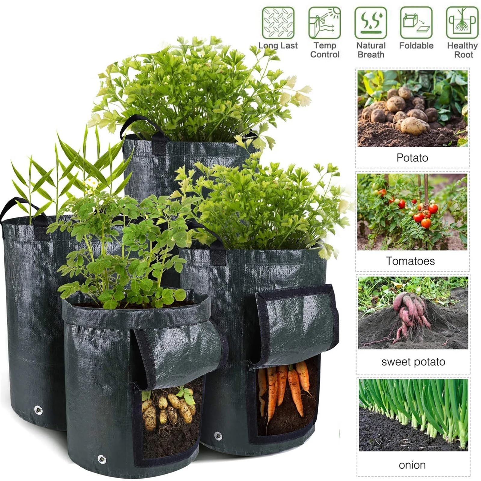 Sacs de Culture Pommes Terre, 3 pièces, 3/5/10 gallons, Sacs Plantes Jardinage, for, tomates, Carottes et Autres conteneurs Plantation légumes pour Plantes(5 Gallon)