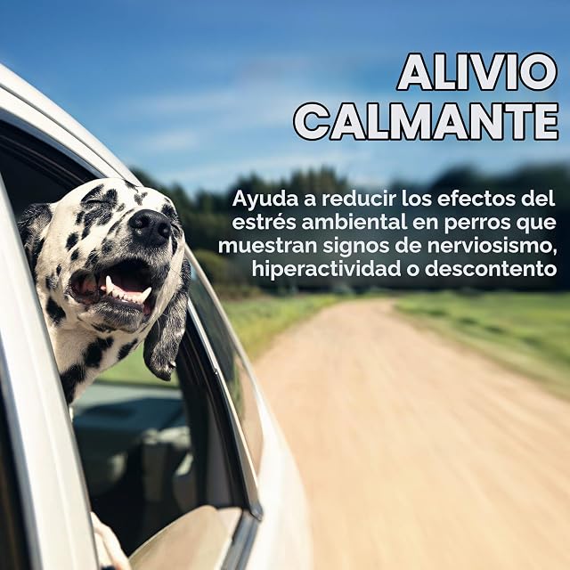 Foto 3 de 6 de Vet's Best Suplementos para Perros calmantes de Calma Confort