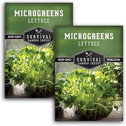 Miniatura 7 de Semillas de lechuga Microgreens para brotar y cultivar  1 paquete  Brote de hojas verdes aptas para principiantes, microverduras en interiores