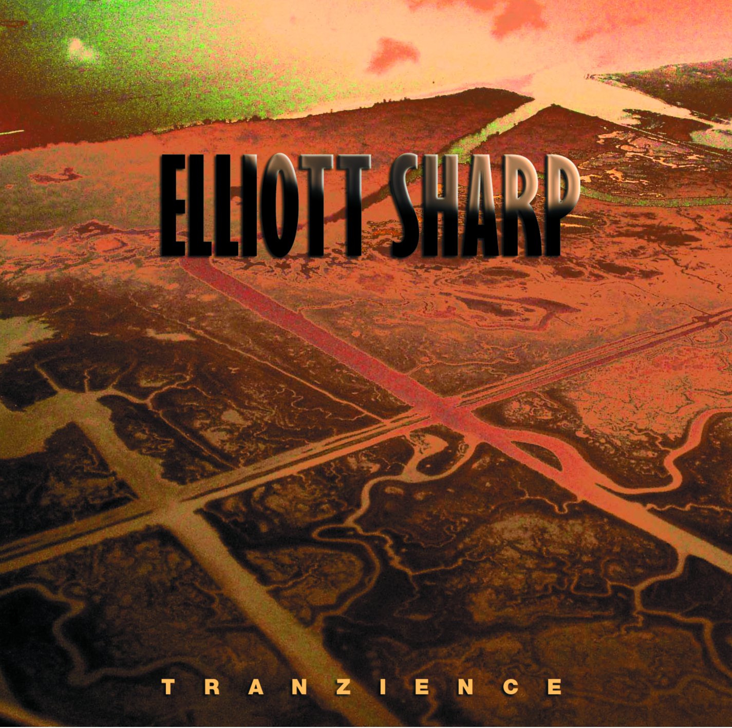 Elliott Sharp - Tranzience