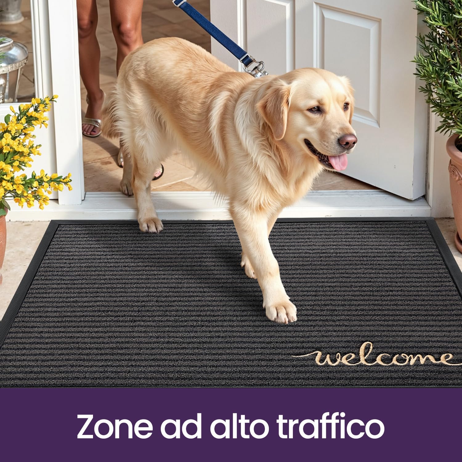 DEXI Zerbino Ingresso Esterno 80 x 120 cm, Tappeto per Porta Interno, Zerbini Antiscivolo Lavabile, Fondo in Gomma Impermeabile, Assorbente Tappeti per Corridoio, Balcone, Giardini, Grigio Benvenuto