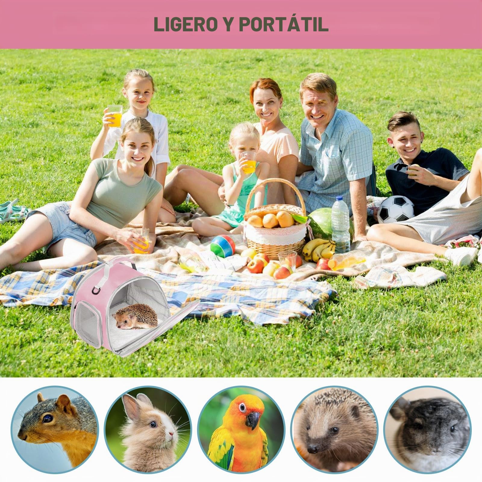 Pequeña bolsa de transporte para mascotas y animales pequeños, caja lateral para gatos, bolsa para cobayas