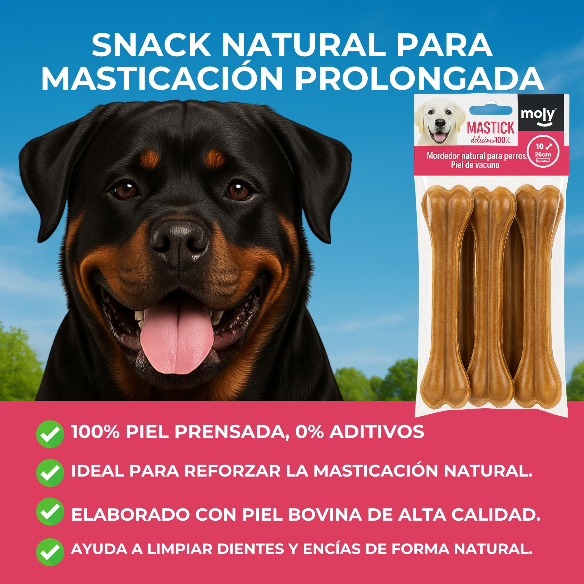 MOLY Lot de 10 os pressés pour chiens 26 cm | Snack naturel pour mastication prolongée | Renforce la santé dentaire et les gencives | Faible en gras | Idéal pour chiens moyens et grands
