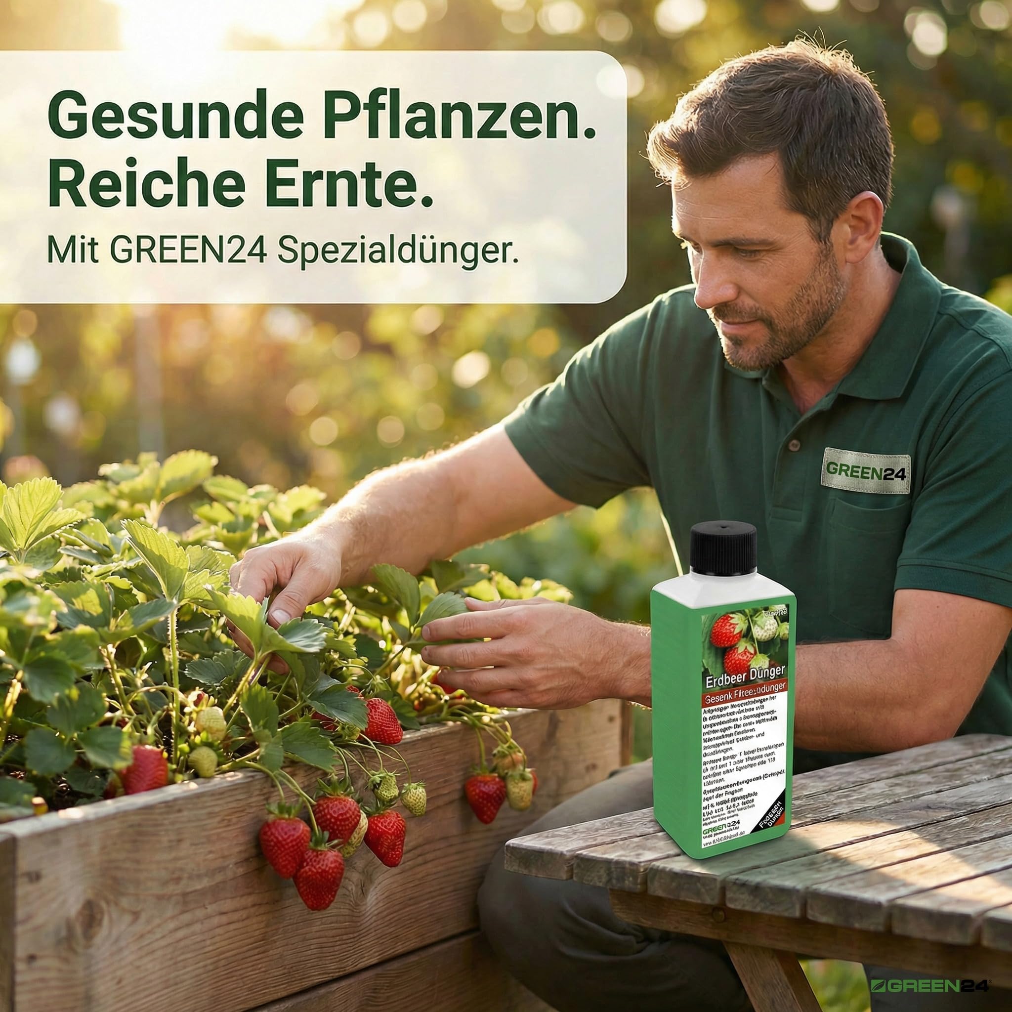 Erdbeer-Dünger XL 1 Liter Spezial Dünger für Erdbeer-Pflanzen, Fragaria Arten