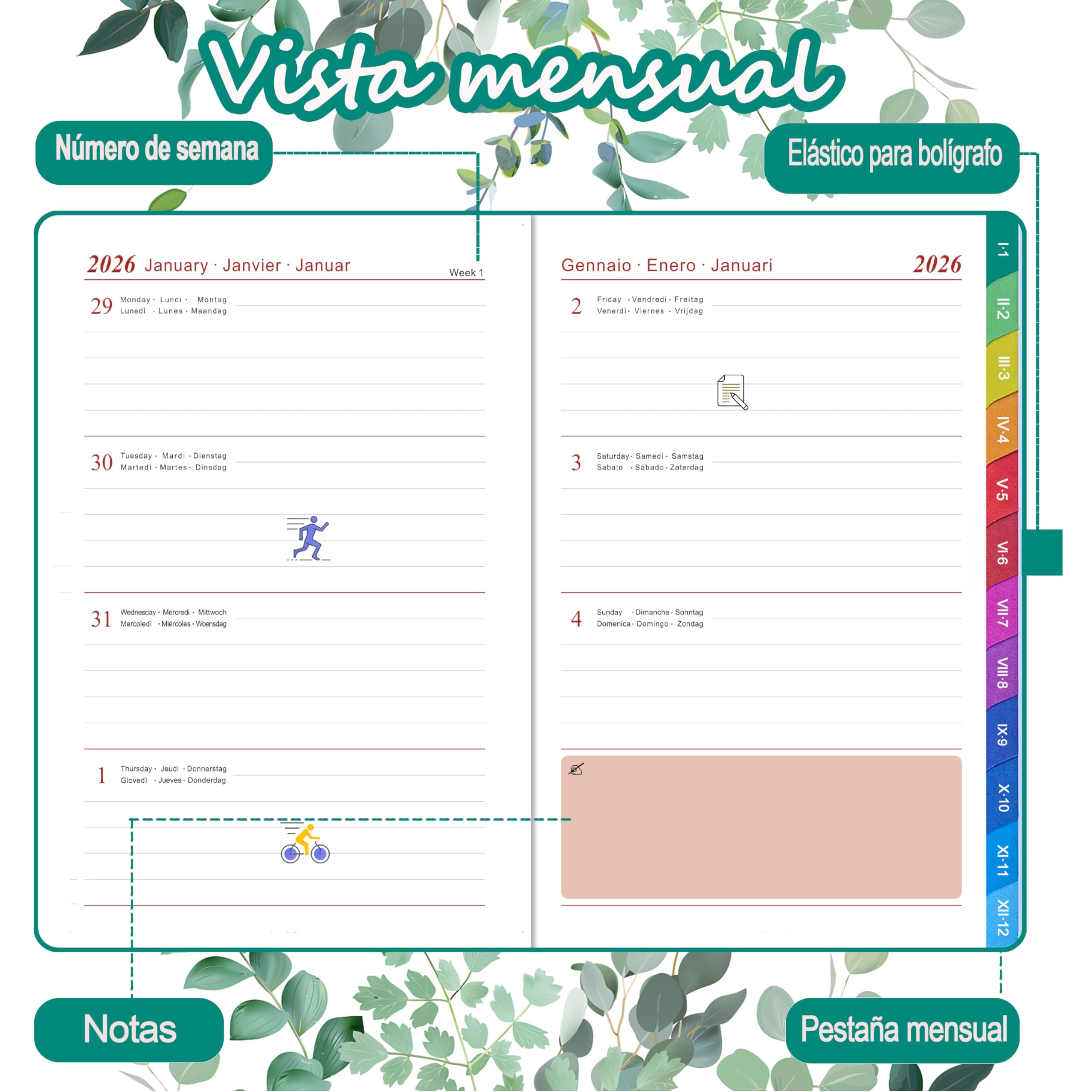 Takenote Agenda 2026 - Tamaño A5 (16,5x20,5 cm), Semana Vista, Planificador Anual 12 Meses Enero a Diciembre, Espiral Doble Dorada, Marcapáginas Doble, Goma Elástica, Español e Inglés - Diana Takenote Agenda 2026 - Tamaño A5 (16,5x20,5 cm), Semana Vista, Planificador Anual 12 Meses Enero a Diciembre, Espiral Doble Dorada, Marcapáginas Doble, Goma Elástica, Español e Inglés - Diana