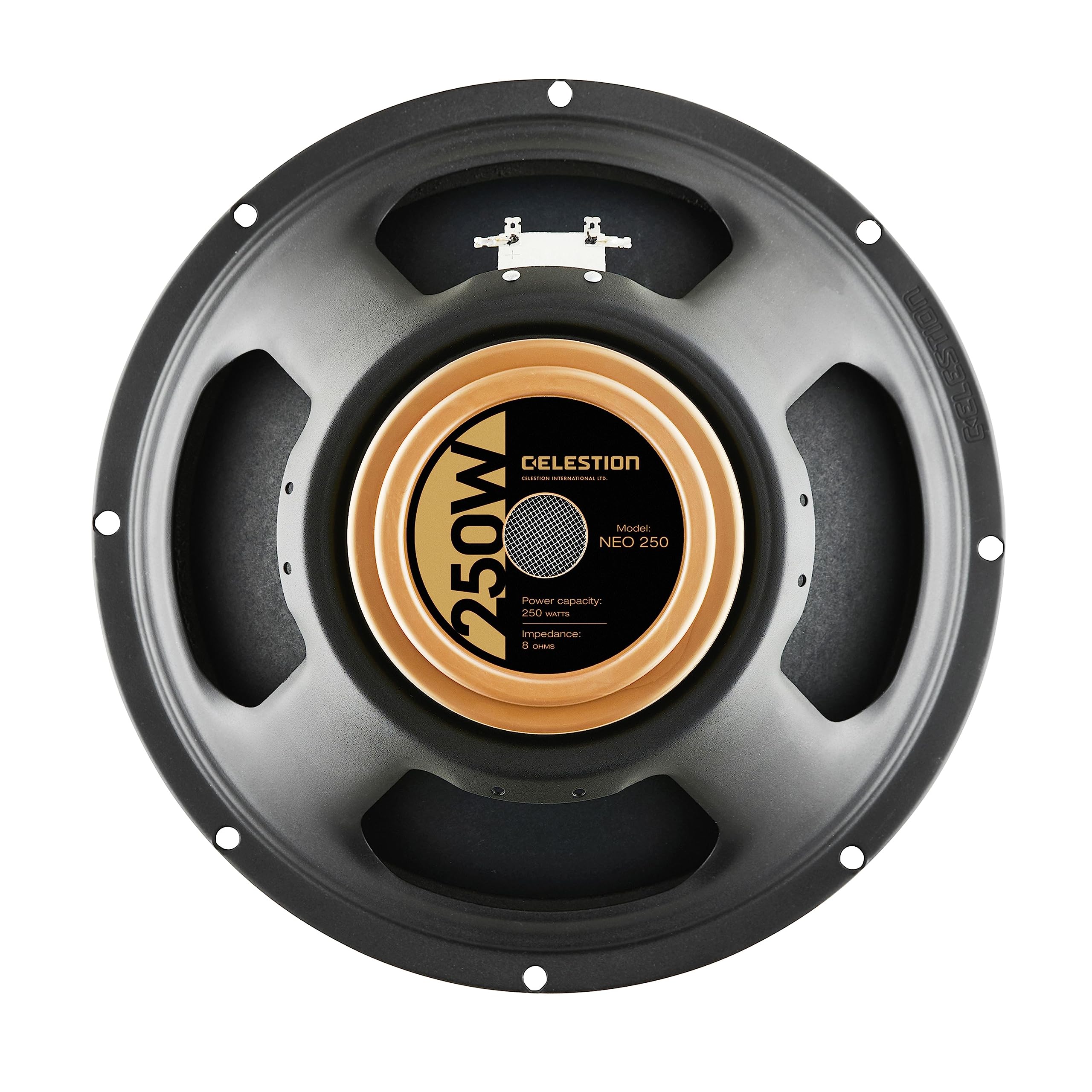 Amazon.com: CELESTION Neo 250 Copperback Guitar Speaker : Musical