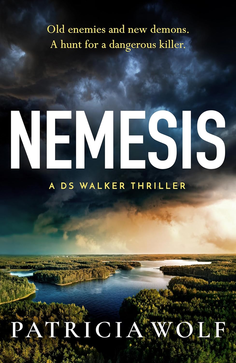Nemesis: Le tout nouveau thriller dédoubable et captivant pour 2025 de l’auteur d’Outback (A DS Walker Thriller Book 4)