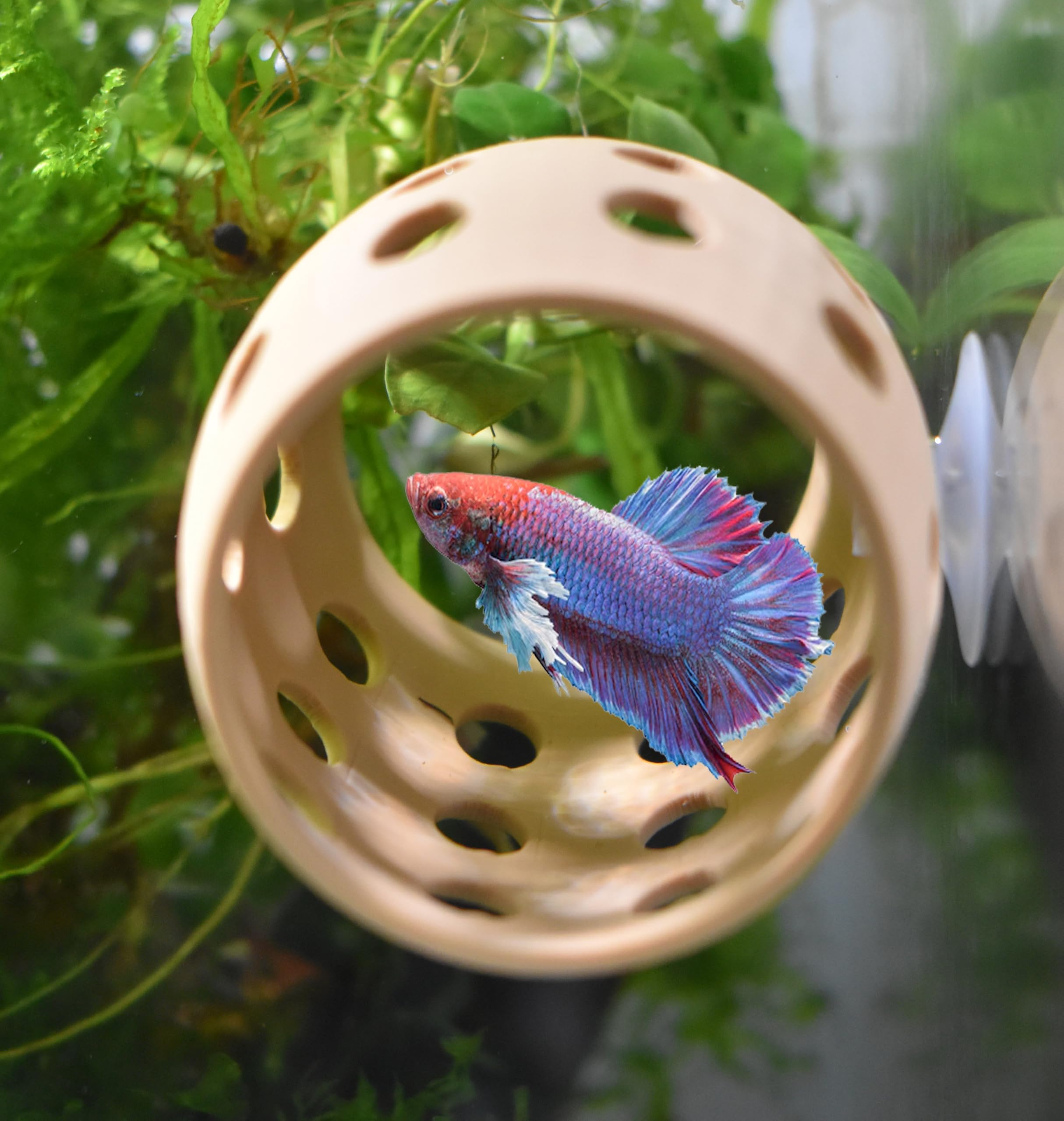 3DAquaticSolutions Betta Sleeping & Relaxation Tube. Hideout Tube for Betta to Chill and Sleep. Fun Activities for Your Fish. Betta Hammock. Fish Tank