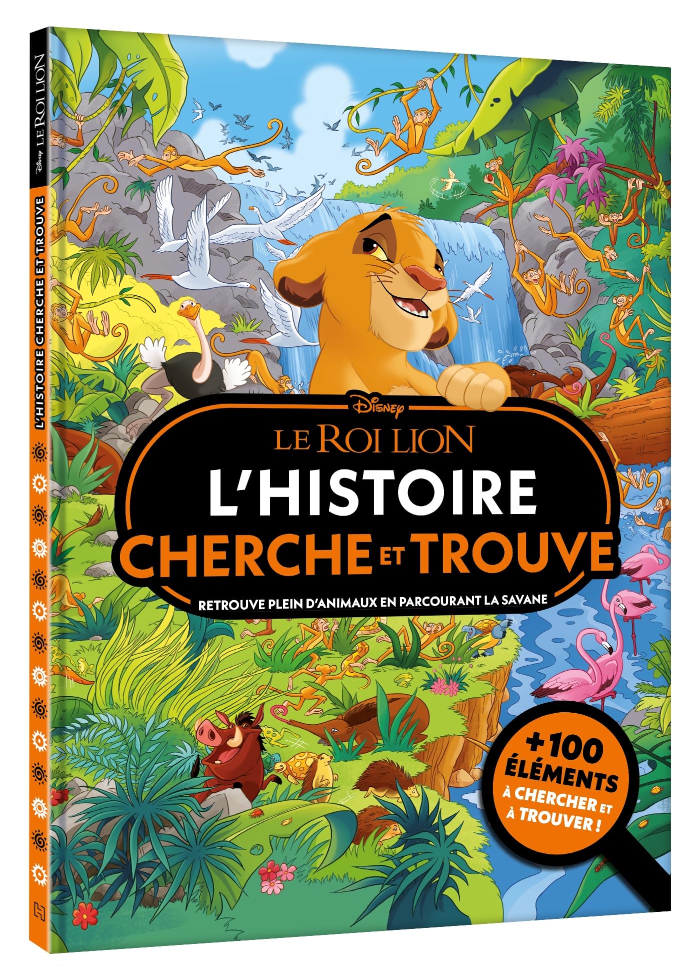 LE ROI LION - Où se cache ? - L'histoire de Simba - Cherche et Trouve - Disney: L'histoire Cherche et trouve