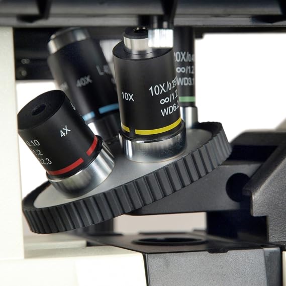 OMAX K832INV Inverted Phase Contrast Compound Microscope 400X