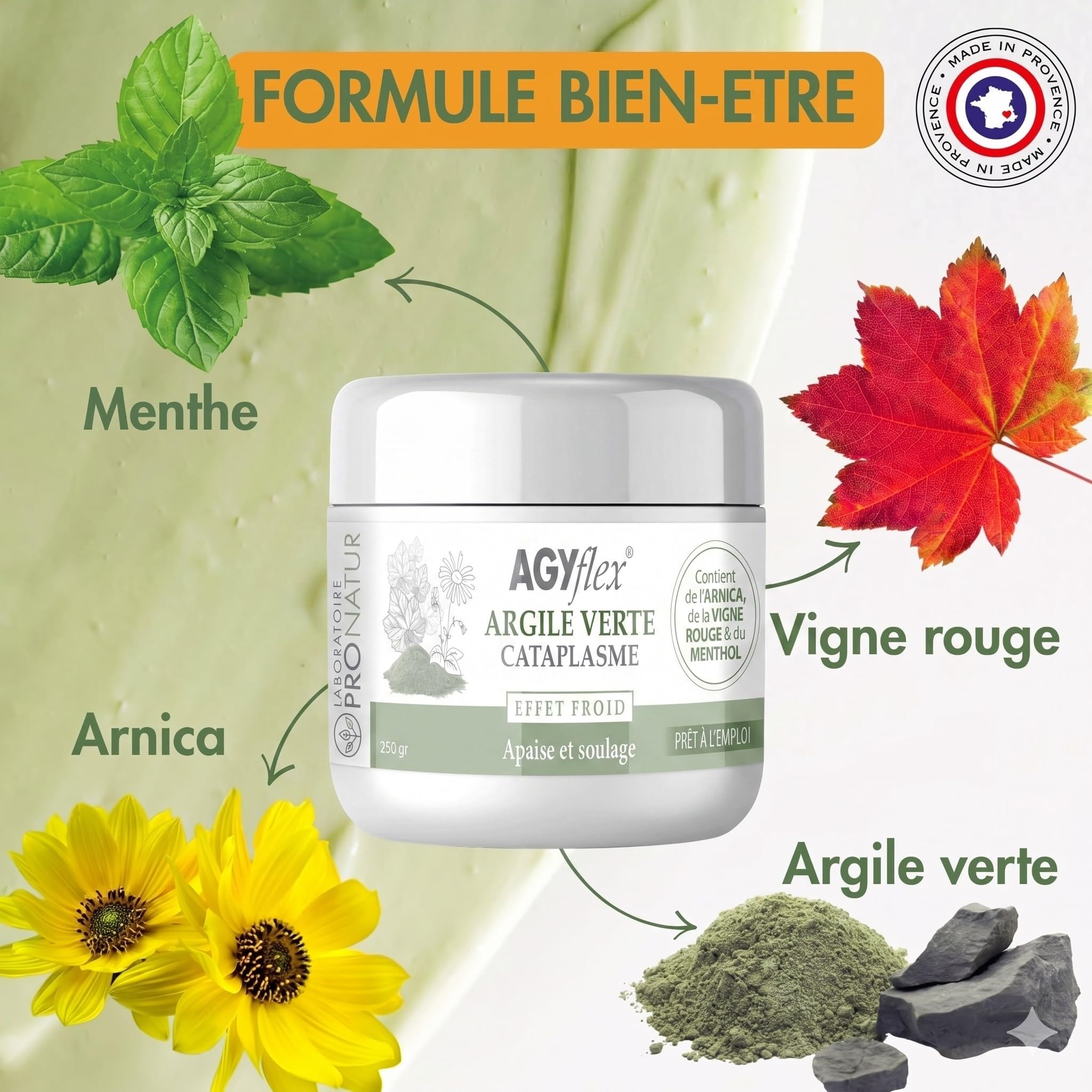 Cataplasme Cryo AGYflex ARGILE VERTE - Bien-être des muscles et articulations - Prêt à l’emploi - Vigne rouge, Arnica, Menthol - 250 g - Fabriqué en France