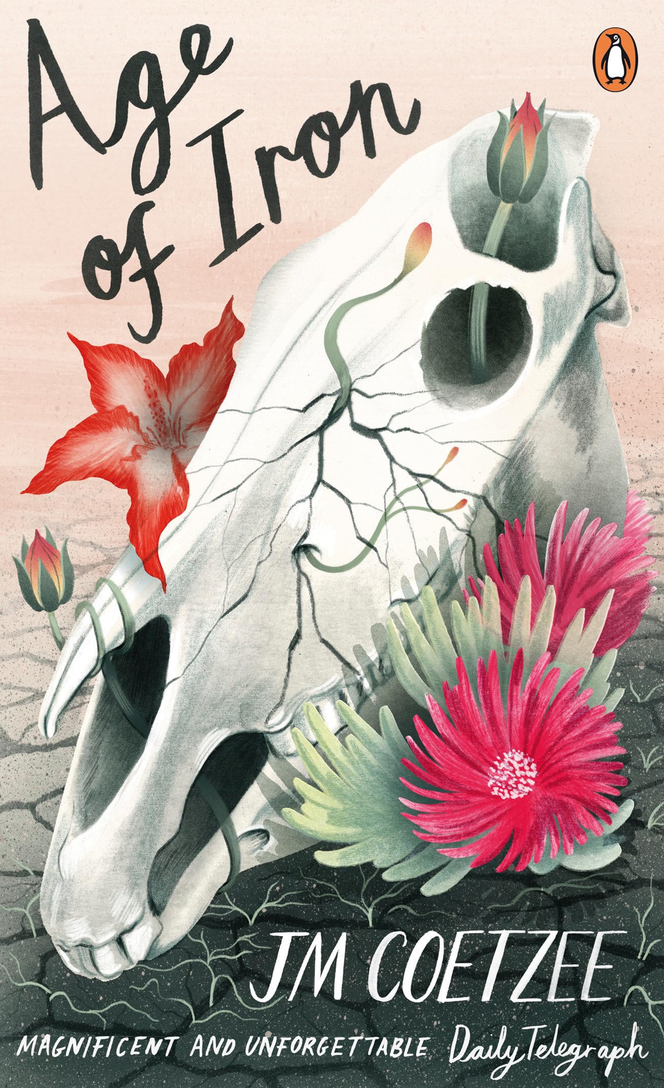 Age of Iron: J.M. Coetzee: 79 (Penguin Essentials, 79)