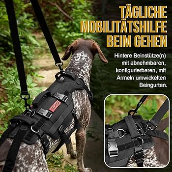 OneTigris INVICTUS Uprząż do podnoszenia dla średnich i