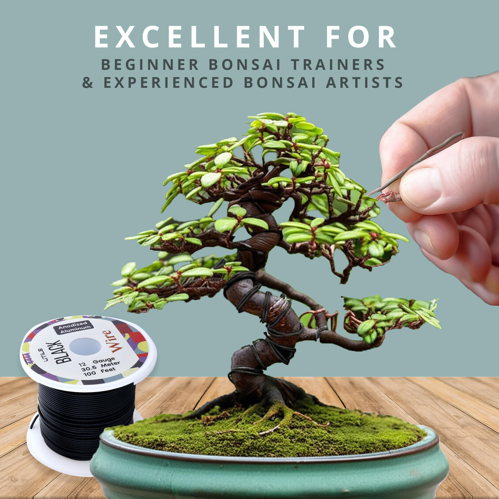 2 Rollen Bonsai-Trainingsdraht 0,8 Mm, 20 Meter Eloxiertes Aluminium - Für Baumformung, Astfixierung Und DIY