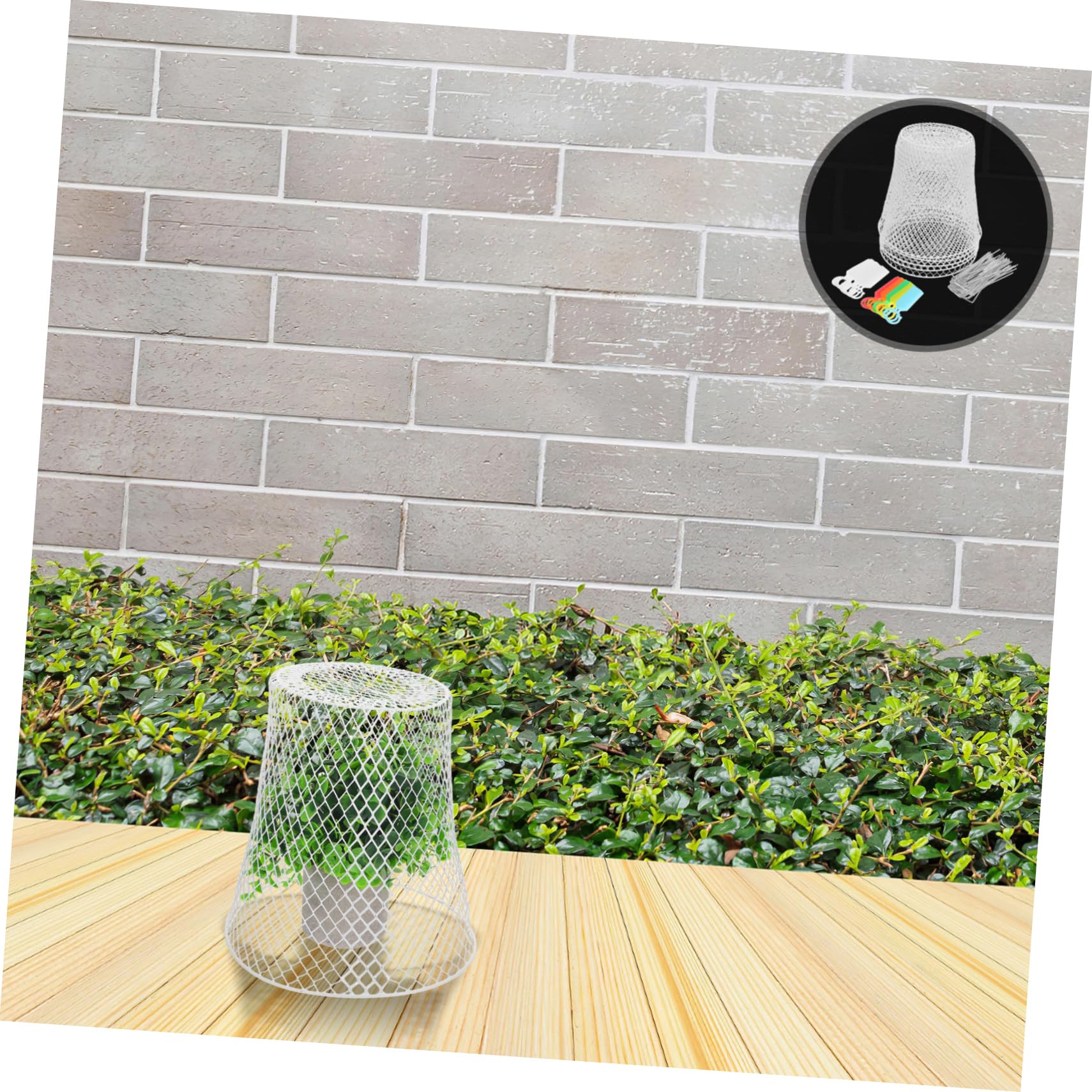 BESTonZON Cloche De Jardin Grillage Métallique Protection pour Plantes Et Semis Utilisable sur Balcon Et Jardin Extérieur