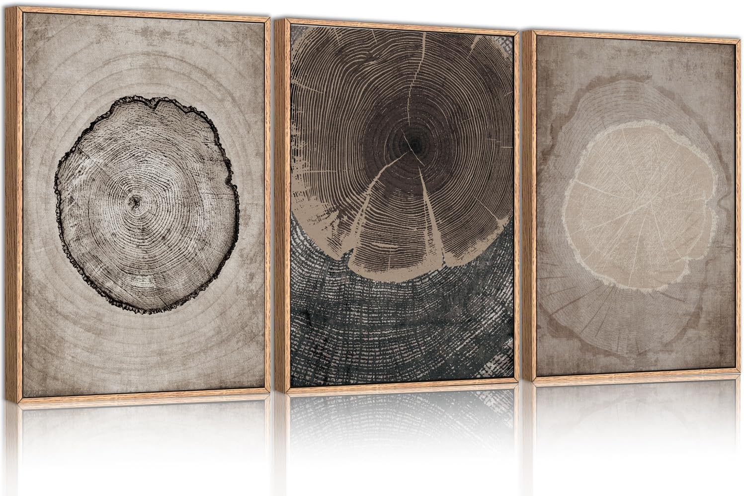 CHDITB Beige Tree Ring Framed Canvas Wall Art Set, Modern Wood Stump Wall Decor, Abstract Black and White Wall Painting, Neutral Nature Art Print for Living Room, Bedroom, Office - 16"x24"x3