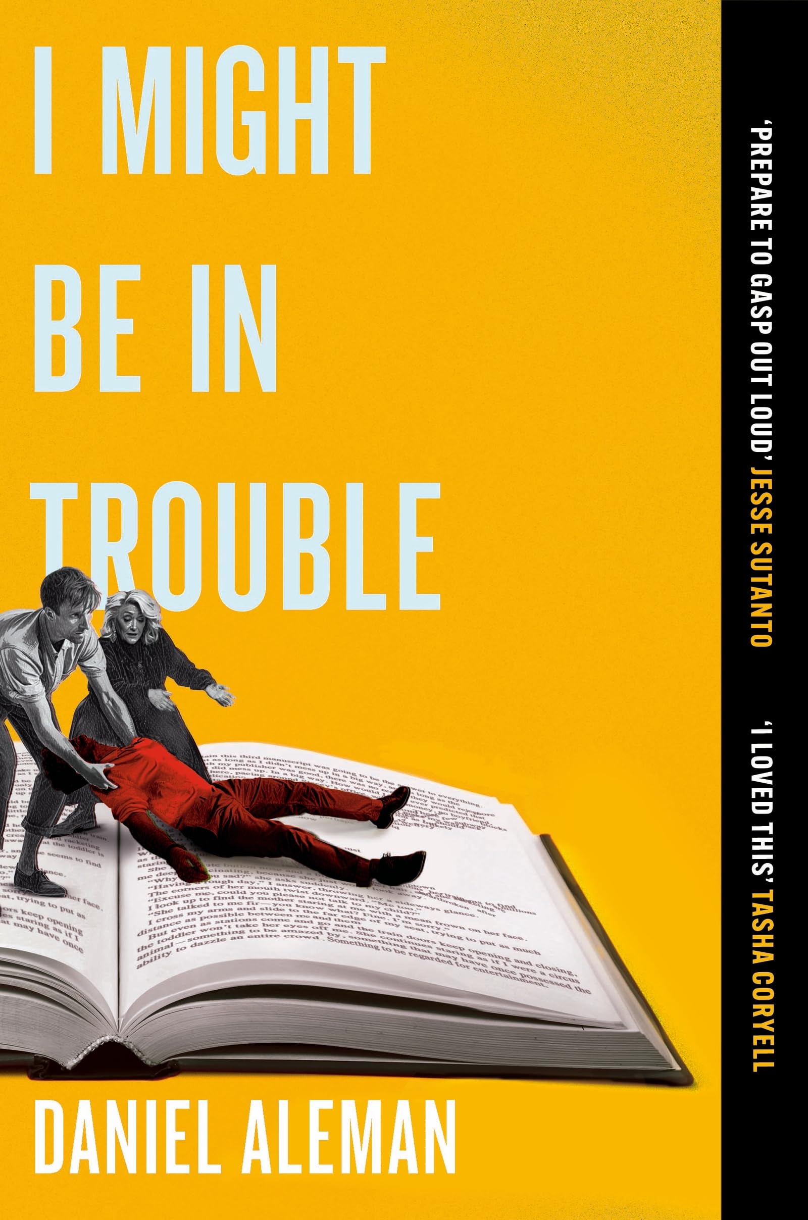 Daniel Aleman I Might Be in Trouble Paperback Book
