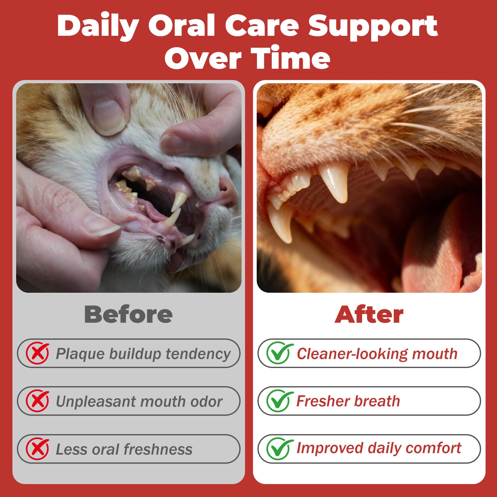 Cat Dental Care & Cat Teeth Cleaning Gel Treat for Cats – Dental Care for Cats, Cat Oral Care to Freshen Cat Breath, Help Reduce Plaque Buildup, Cats Bad Breath Support with Papain, MCC - image 4