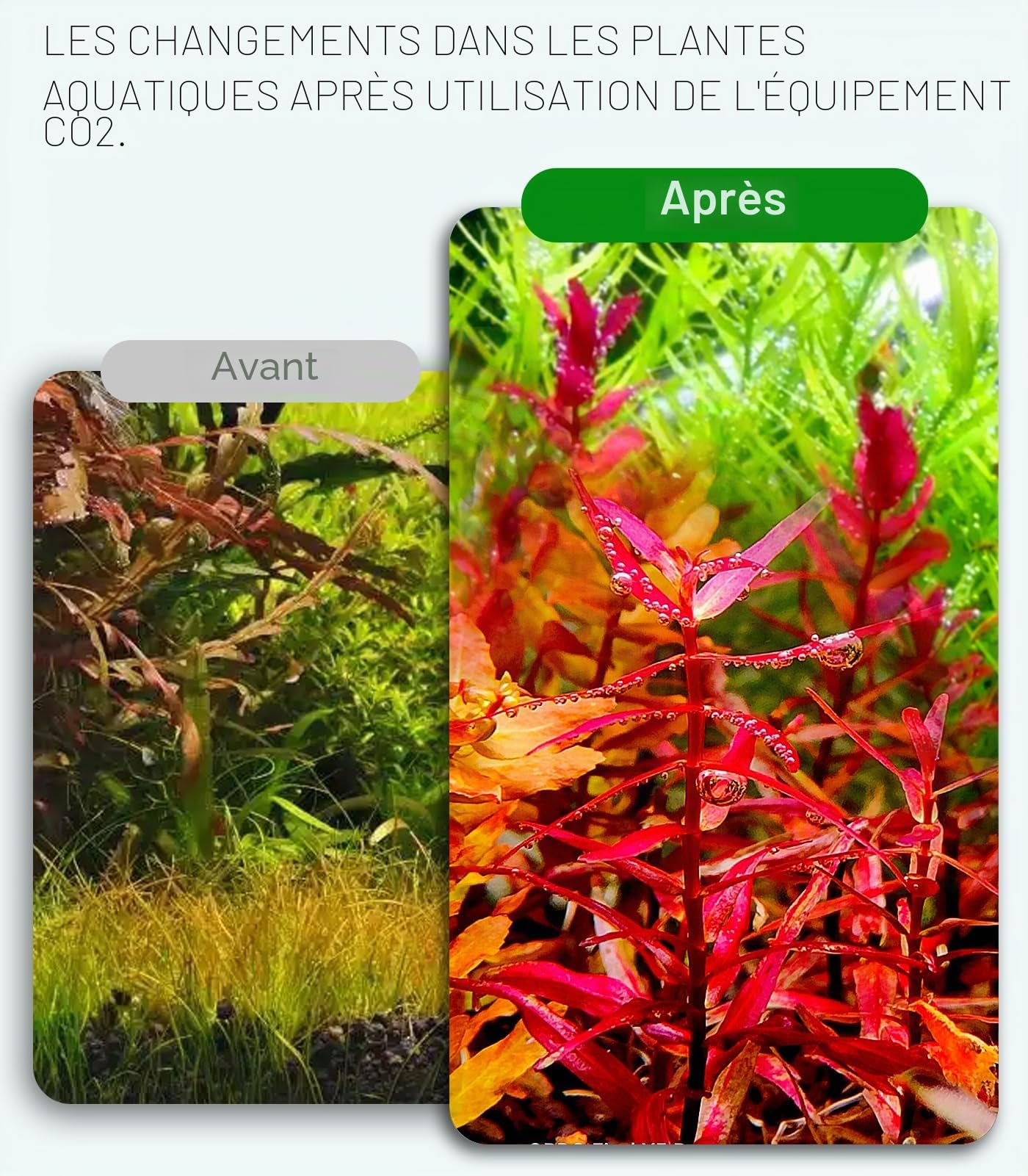 Générateur de système de CO2 pour aquarium, réacteur de dioxyde de carbone en acier inoxydable avec électrovanne régulateur pour plantes d'aquarium (G600S), kit d'aquarium CO2