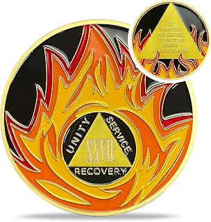 Reborn from Fire 27 Year Sobriety Coin - Recovery Flames 27 Year AA Coins - NA AA Chips and Medallions - 1-30 Prime Living Clean Narcotics Alcoholics Anonymous Gifts for Men Women
