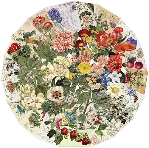 Paquete de 50 calcomanías vintage para plantas, calcomanías estéticas de flores para álbumes de recortes, diario, botella de agua, Kindle, laptop,