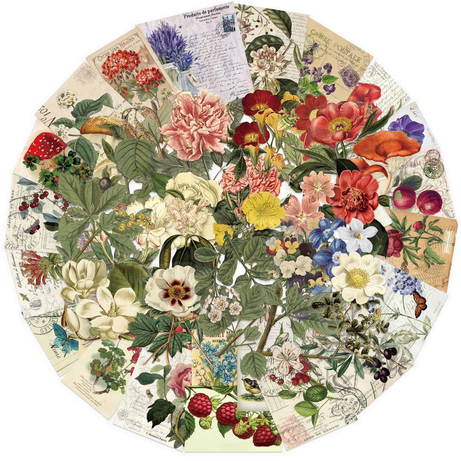 50Pcs Vintage Plant Stickers Pack, Aesthetic Flowers Stickers for Scrapbook Journaling Water Bottle Kindle Laptop Skateboard Guitar, Waterproof PET