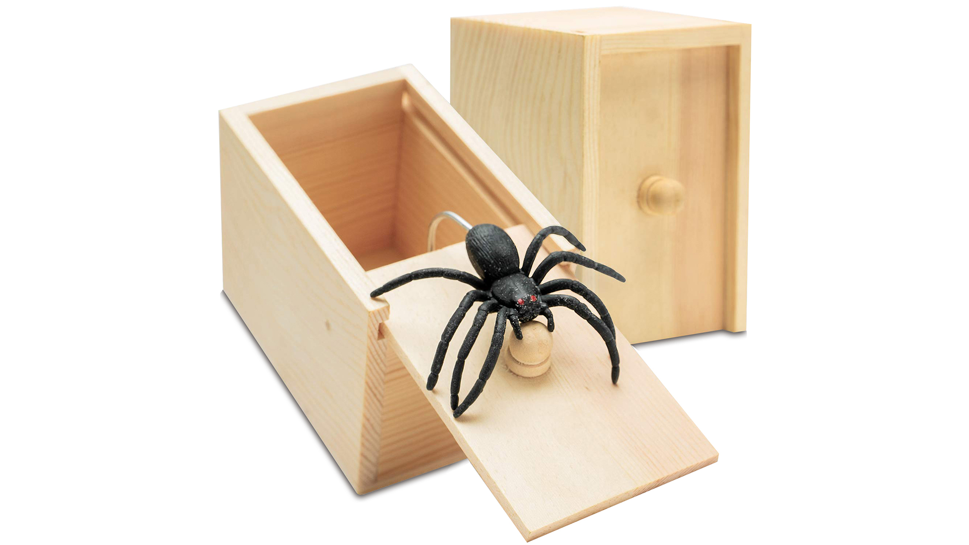 Watch Spider prank box,perfect gift for kids and adults on Amazon Live