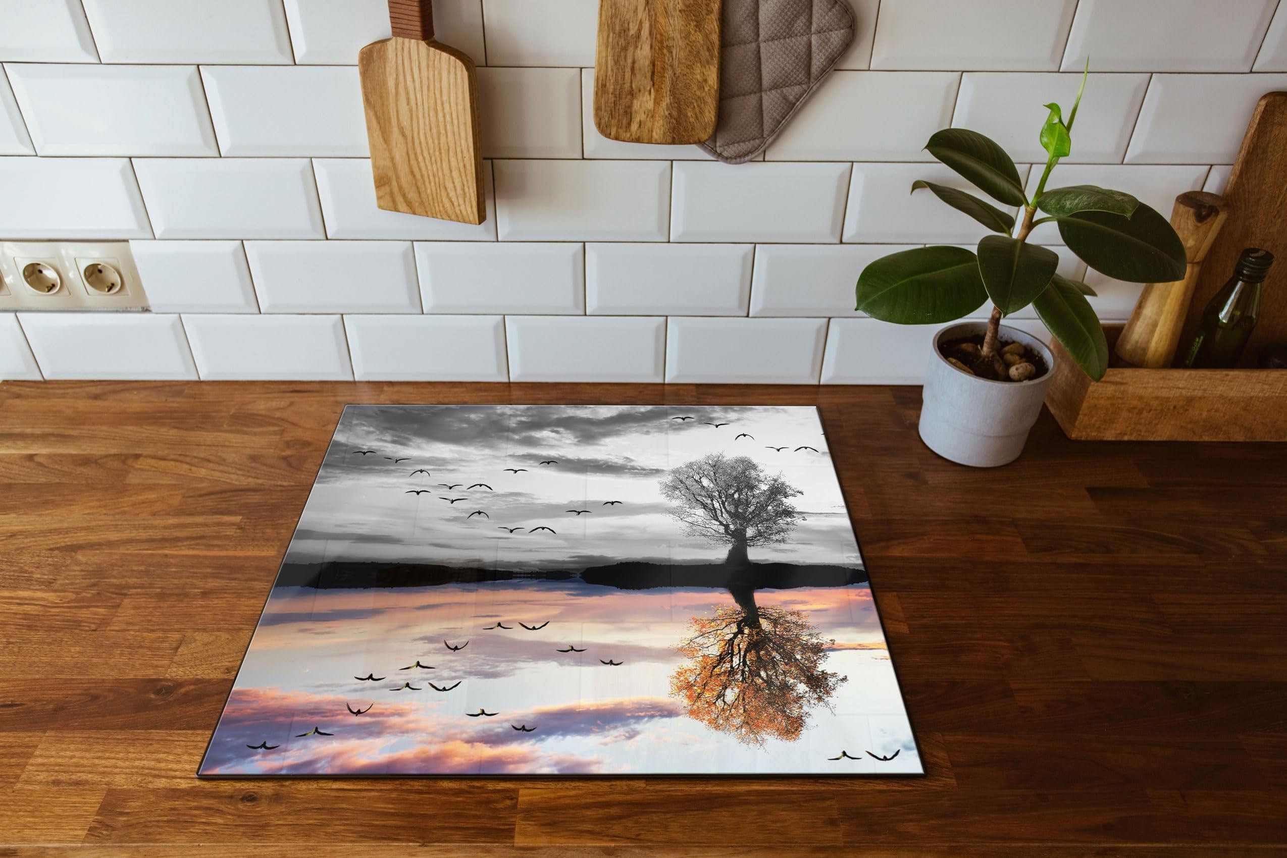 Baum der sich im Wasser spiegelt Herdabdeckplatte & Spritzschutz aus Echtglas | Für Herd-Kochfelder | 60x52 cm
