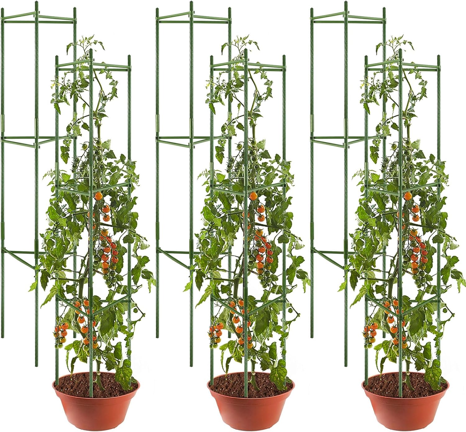 Flowlamp Rankhilfe Set - 6 Stabile Pflanzstäbe Für Tomaten, Gurken Und Kletterpflanzen (120cm)