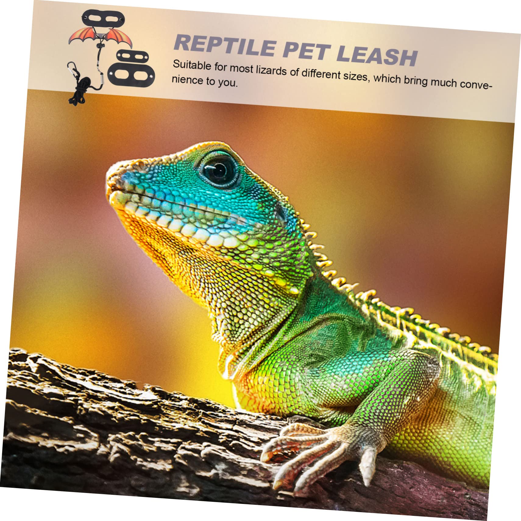 HOLIDYOYO 1 Set Bearded Dragon Leash Professional Small Pet Walking Rope for Reptiles Lightweight and Outdoor Harness for Bearded Dragons Lizards and Geckos