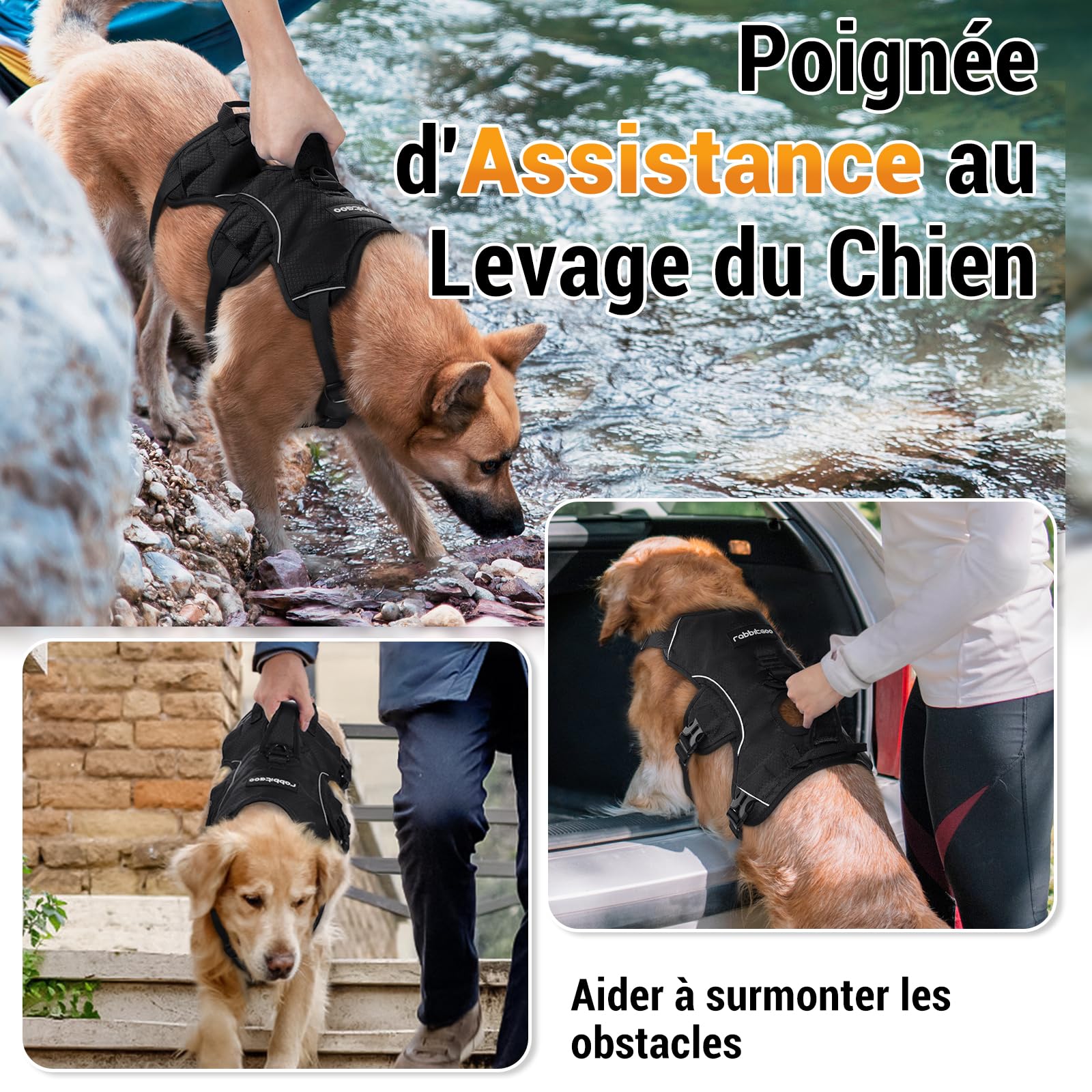 rabbitgoo Harnais pour Chien avec Poignée de Levage,Harnais Réglables pour Animaux de Compagnie Facile à Contrôler,Gilet pour Chien Réfléchissant pour Chiens de Taille Grande M, Noir