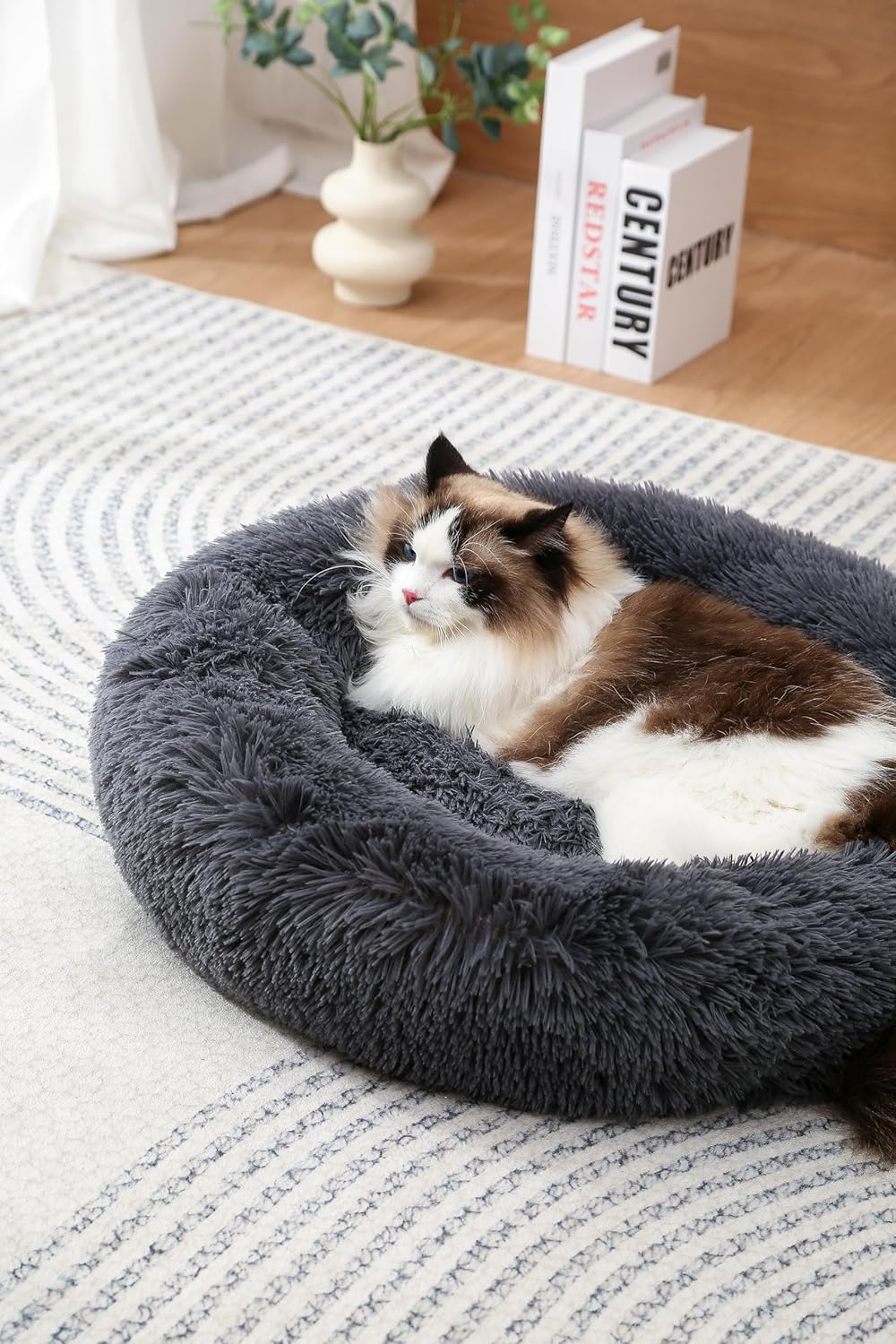 Ultimate Comfort: The Cozy Donut Pet Bed for Cats and Small Dogs