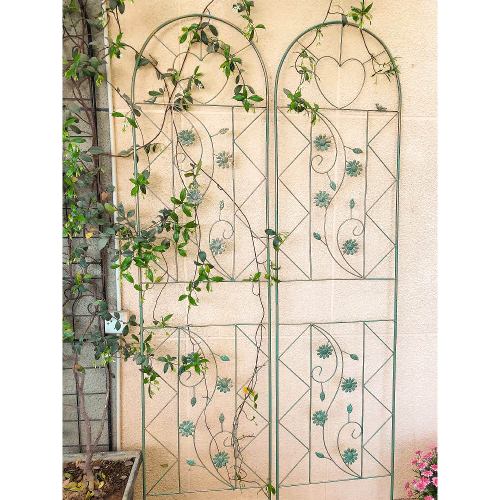 ZYFA Rankhilfe Gartenzaun Rankgitter Garten Gartenstecker Gartenpfähle Rasenkanten Gartenzäune Beetzaun Metall Obelisk Pflanzenstützen für Gartendeko,Deko Für Kletterpflanzen,Rosen,Reben