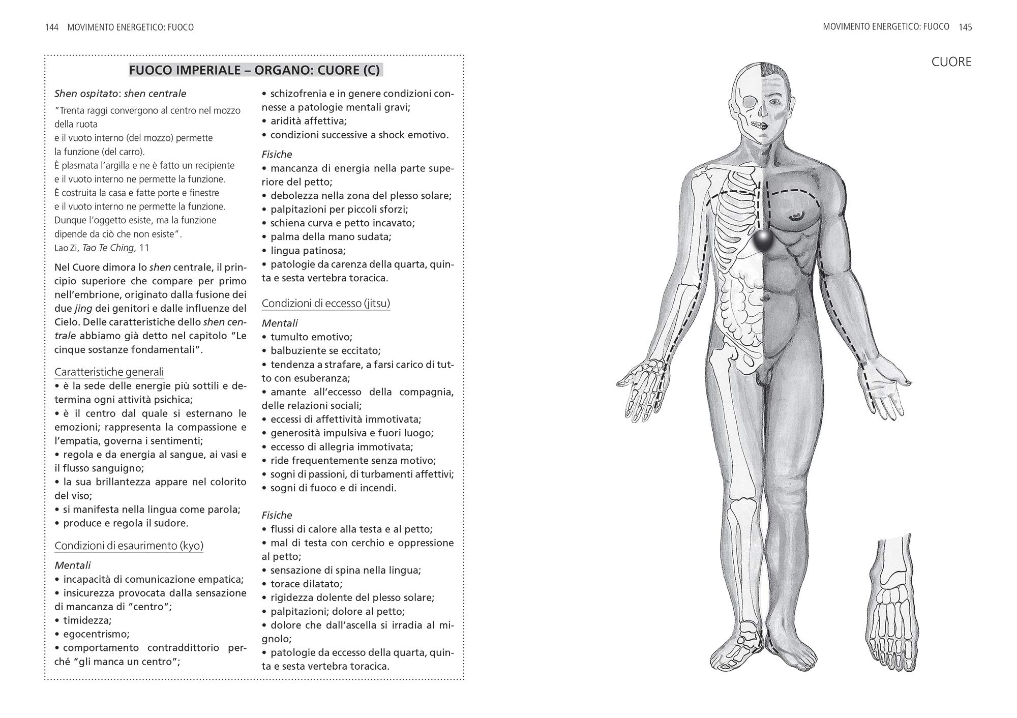Trattato professionale di shiatsu. Metodo progressivo: teoria e pratica. Nuova ediz.